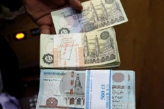 Đồng bảng Ai Cập. (Nguồn: egypttoday.com)