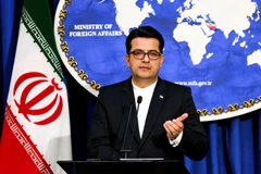 Người phát ngôn Bộ Ngoại giao Iran Abbas Mousavi phát biểu trong cuộc họp báo ở Tehran ngày 28/5/2019. (Ảnh: AFP/TTXVN)