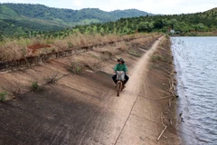 Người dân di chuyển trên mái đập vì mặt đập lầy lội, đi lại khó khăn. (Ảnh: Ngọc Minh/TTXVN)