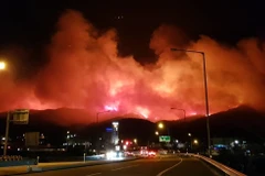 Lửa bốc ngùn ngụt tại thành phố Gangneung thuộc tỉnh Gangwon, cách Seoul (Hàn Quốc) khoảng 237km ngày 5/4/2019. (Ảnh: YONHAP/TTXVN) 