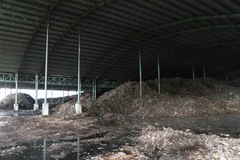 Rác được tập kết phía sau nhà máy gây ô nhiễm môi trường. (Ảnh: Huỳnh Thế Anh/TTXVN)