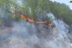 Thời gian qua đã xảy ra nhiều đám cháy rừng ở miền Trung do người dân bất cẩn dùng lửa. Trong ảnh: Cháy rừng ở huyện Hương Sơn, Hà Tĩnh. (Ảnh: TTXVN)