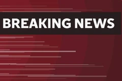 (Nguồn: independent.co.uk)