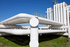 (Nguồn: Shutterstock)