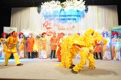 Tiết mục chào đón Năm mới 2020 tại Teplice. (Ảnh: Hồng Kỳ/Vietnam+)