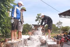 Chuẩn bị đưa lợn bệnh đi tiêu hủy tại tỉnh Đắk Lắk.( Ảnh: Phạm Cường/TTXVN)