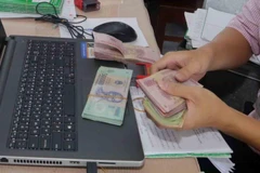 Ảnh minh họa. (Nguồn: TTXVN)