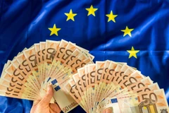 Đồng 50 euro. (Ảnh: AFP/TTXVN)