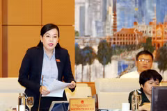 Trưởng Ban Dân nguyện của Quốc hội Nguyễn Thanh Hải phát biểu. (Ảnh: Trọng Đức/TTXVN)