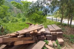 Tang vật gỗ khai thác lậu tại Quảng Bình. (Ảnh minh họa: Đức Thọ/TTXVN)