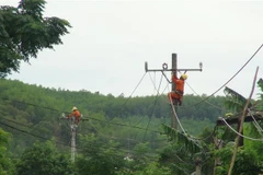Công nhân điện lực Quảng Bình tiến hành sửa chữa, kiểm tra hệ thống lưới điện trước mùa mưa bão 2019. (Ảnh: Đức Thọ/TTXVN) 