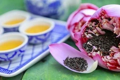 [Video] Trà ướp hương sen - gói trọn tinh hoa nghìn bông sen Hồ Tây