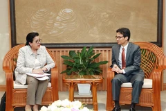 (Ảnh: Doãn Tấn/TTXVN) 