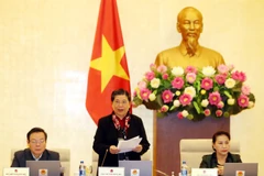 Phó Chủ tịch Thường trực Quốc hội Tòng Thị Phóng chủ trì phiên họp. (Ảnh: Trọng Đức/TTXVN) 