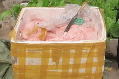 (Ảnh minh họa: Đức Duy/TTXVN)