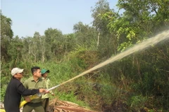 Diễn tập chữa cháy Vườn quốc gia U Minh Hạ (Cà Mau). (Ảnh: Tràng Dương/TTXVN)