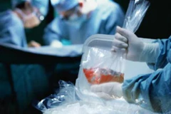 Ảnh minh họa. (Nguồn: rt.com)