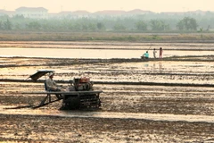 (Ảnh minh họa: Duy Khương/Vietnam+)