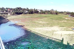 (Ảnh chỉ có tính minh họa: Hồ Cầu/TTXVN)