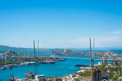 Ảnh minh họa. (Nguồn: alchetron.com)