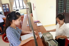 (Ảnh minh họa: Hoàng Hùng/TTXVN)