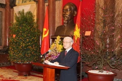 Tổng Bí thư Nguyễn Phú Trọng. (Ảnh : Trí Dũng/TTXVN)