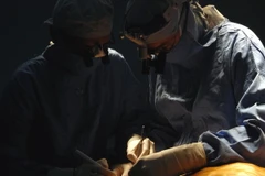 Ảnh chỉ có tính minh họa. (Ảnh: Mạnh Linh/TTXVN)