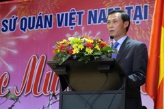 Đại sứ Lương Thanh Nghị phát biểu tại buổi gặp mặt. (Ảnh: Khánh Linh/Vietnam+)