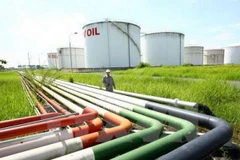 Ảnh chỉ có tính minh họa. (Ảnh: Huy Hùng/TTXVN)