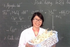 Tiến sỹ Võ Thị Việt Dung. (Nguồn: quangngai.gov.vn)