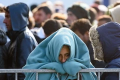 Người di cư và tị nạn tại biên giới Slovenia-Áo. (Nguồn: AFP/TTXVN)