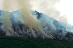 Một vụ cháy rừng xảy ra trong năm 2018 tại tỉnh Thừa Thiên Huế. (Nguồn ảnh: Vietnam+)