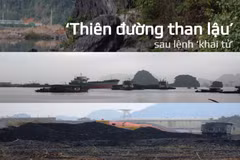 "Thiên đường than lậu" tại khu vực km6, phường Quang Hanh, thành phố Cẩm Phả. (Ảnh: P.V/Vietnam+)