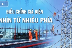 Tọa đàm trực tuyến: "Điều chỉnh giá điện, nhìn từ nhiều phía". (Nguồn ảnh: VGP)