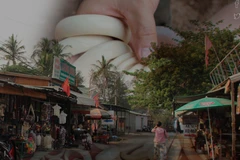 Tham nhũng và bảo kê buôn bán ngà voi trái phép là một trong những nguyên nhân chính có ảnh hưởng lớn nhất đến các nỗ lực điều tra, xử lý tội phạm. (Ảnh: PV/Vietnam+)