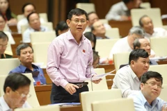 Đại biểu quốc hội tỉnh Quảng Bình Nguyễn Ngọc Phương phát biểu. (Nguồn ảnh: TTXVN)