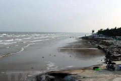 Ảnh chỉ có tính chất minh họa. (Nguồn: TTXVN) 