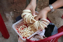 Tình trạng bán ngà voi và các sản phẩm chế tác từ ngà voi xuất hiện phổ biến tại nhiều thành phố lớn. (Ảnh: PV/Vietnam+)
