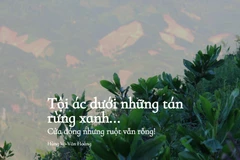 Loạt bài "Tội ác dưới những tán rừng xanh..." sau khi đăng tải đã nhận được rất nhiều ý kiến bày tỏ sự lo lắng của dư luận về công tác quản lý, bảo vệ rừng hiện nay. (Nguồn: Vietnam+)