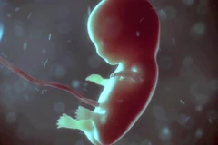 Ảnh chỉ có tính chất minh họa. (Nguồn: (Nguồn: Sputnik)