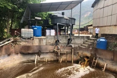 Nước thải của Công ty Trách nhiệm hữu hạn Một thành viên Hapaco Đông Bắc. (Ảnh: V.H/Vietnam+)