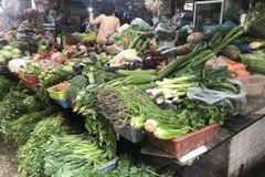 Ghi nhận tại các chợ truyền thống trên địa bàn thành phố Hà Nội, giá các loại rau xanh không có nhiều biến động và tiếp tục duy trì ở mức cao so với cùng kỳ tháng 3/2022. (Ảnh: Việt Anh/Vietnam+)