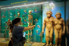 Khám phá bảo tàng mẫu vật của sự sống trong 3,6 tỷ năm ở Thủ đô 