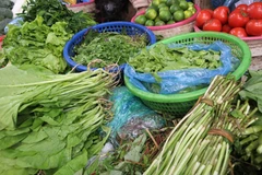 Ảnh hưởng của mưa lớn kéo dài tại các vùng sản xuất khiến giá rau xanh tại một số chợ dân sinh Hà Nội tăng cao. (Ảnh: Việt Anh/Vietnam+)