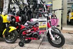 Xe đạp thể thao dành cho trẻ em là một trong những phân khúc sản phẩm bán chạy nhất trong những tháng Hè. (Ảnh: Việt Anh/Vietnam+)