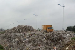 (Ảnh minh họa: Trịnh Duy Hưng/TTXVN)