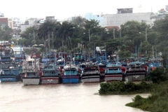 (Ảnh minh họa: Thế Lập/TTXVN)