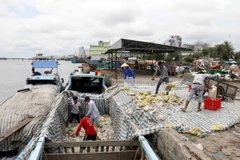 Đánh bắt thủy sản trên vùng biển Cà Mau. (Ảnh: Kim Há/TTXVN)