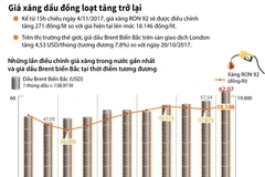 [Infographics] Giá xăng dầu đồng loạt tăng trở lại từ 4/11