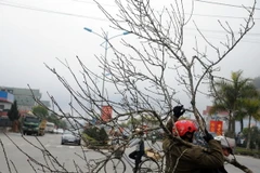 Ảnh minh họa. (Nguồn: Vietnam+)